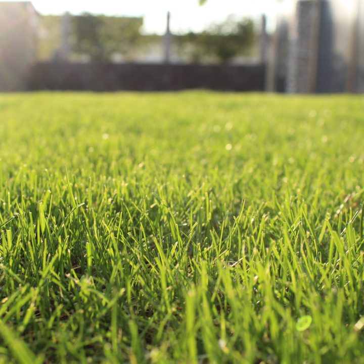 Home Blades Landscaping