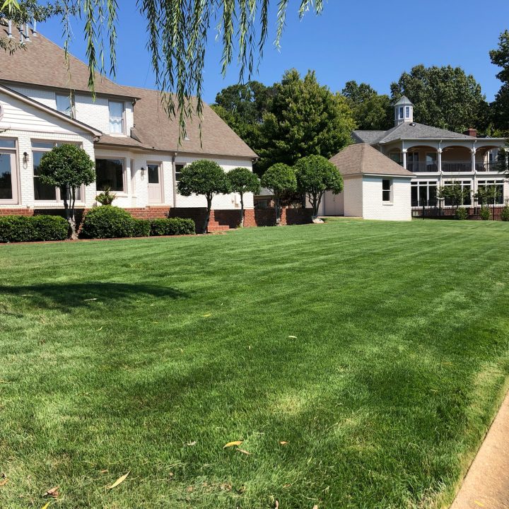 Home Blades Landscaping